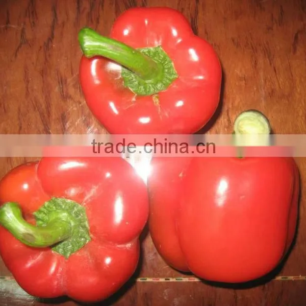 Color Pepper ( GREEN - YELLOW - RED ) photo-2