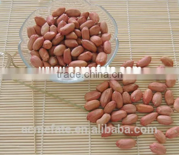 Shandong Long Type Blanched Red Skin Peanut Kernels photo-4
