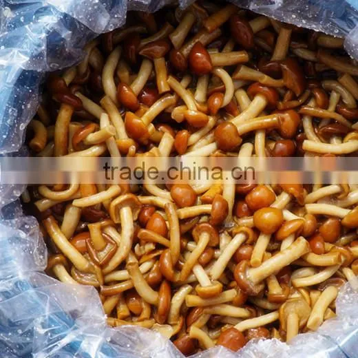 Magic Mushroom ,in Brine,in Barrel of 50kgs