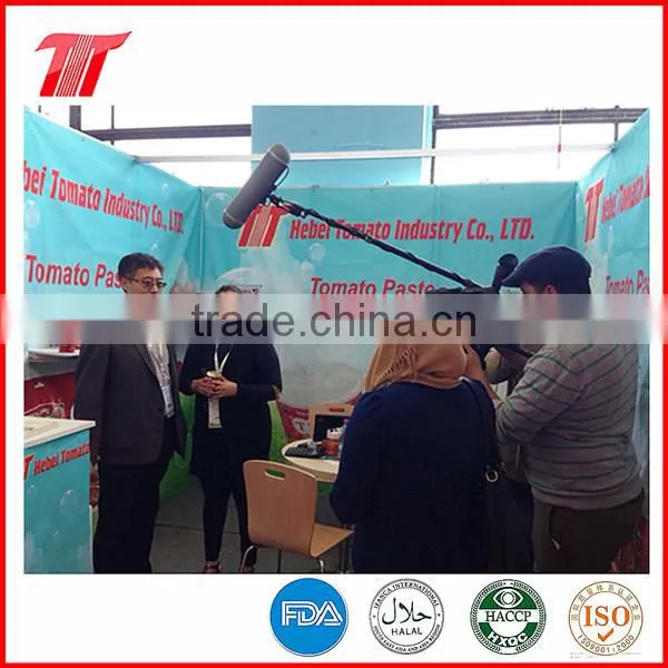 425G Customed Canned Sardine In Tomato Sauce photo-6