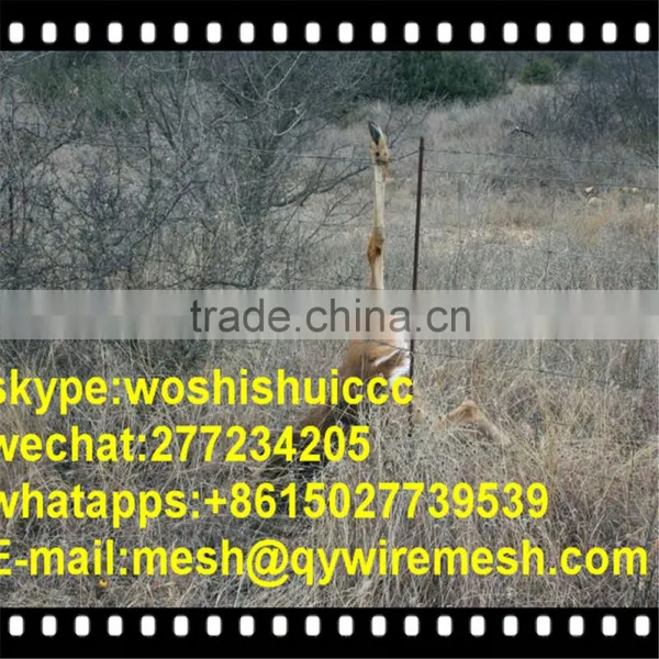Hot Dip Galvanized Sheep and Goat Farming Fence photo-5