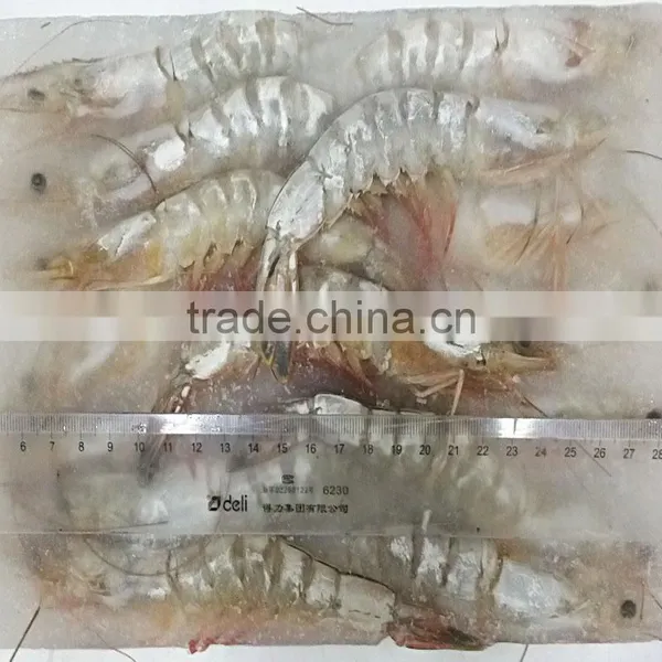 Sea Frozen White Shrimp