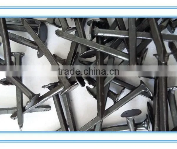 Cheaper Price Shoe Nail,factory Product photo-2