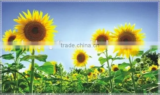 Fashion Decorative Wall Sticker , Kitchen Aluminum Foil Oil Stickers,TV Setting Post photo-4