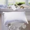 Sell Feather Pillow