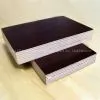 Giga- Black//brown Film Faced Plywood Manufacturer