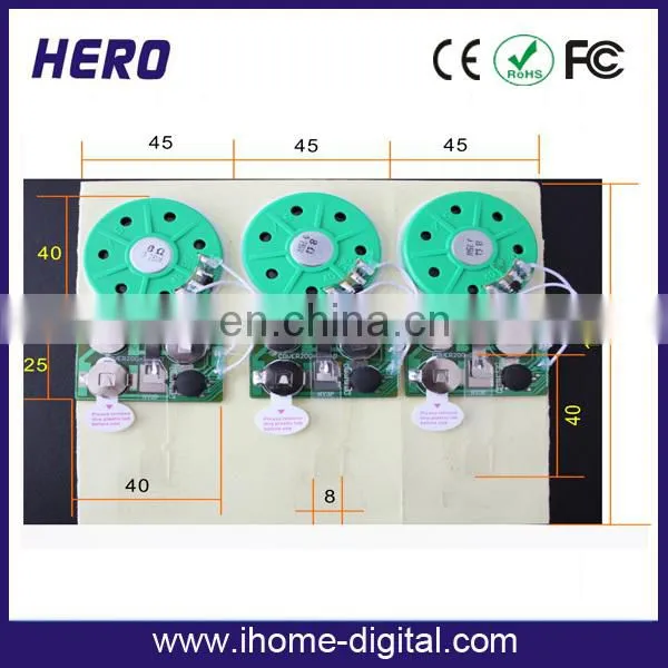 Voice Module for Gift Box photo-2