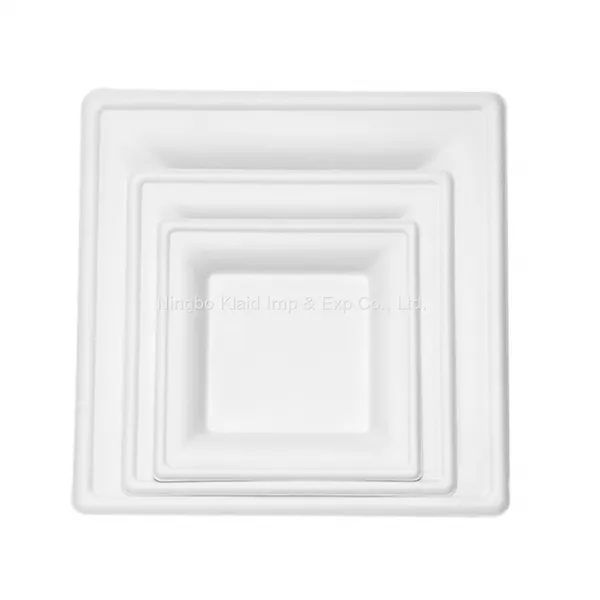 10”Hot Selling Party Restaurant Eco-Friendly Disposable Biodegradable Plates Sugarcane Bagasse Square Plates(500/ Case) photo-2