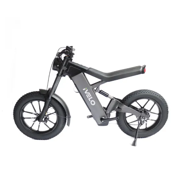 IVelo Electric Bike 1000W 48V 13Ah Fat Tire Electric Mountain Bike Beach All Terrain Dirt Off Road Ebike Bicycle photo-5