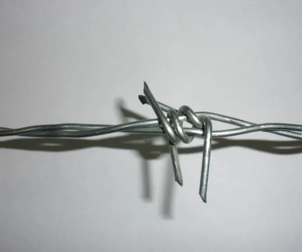 Wholesales Fencing Hot Dipped Galvanized Barbed Wire photo-4