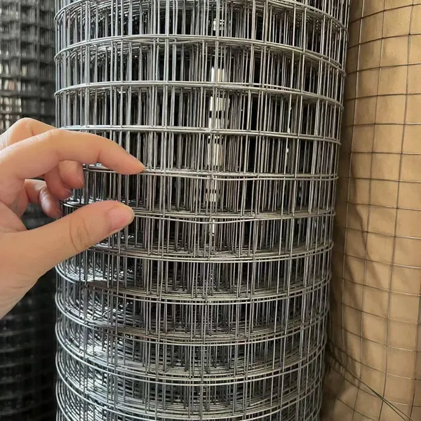 Welded Wire Mesh Rolls for Protecting Mesh - Plain Weave PVC Coated Steel photo-4