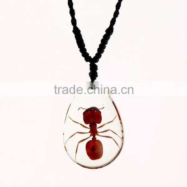 New Wholesale Fashion Lovely Necklace With Real Insect photo-3
