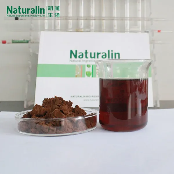 Chaga Mushroom Extract photo-2
