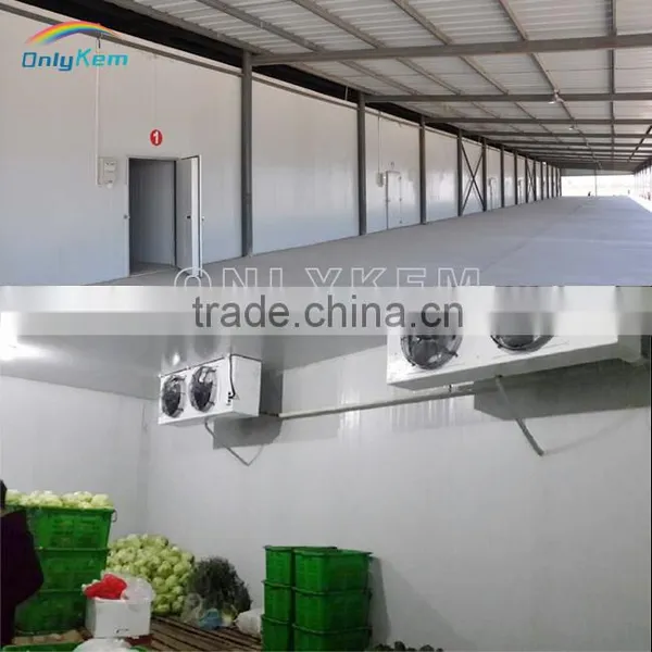 Freezing Refrigeration Rooms Keeping Peppers Fresh photo-5