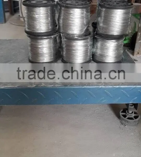 Small Stainless Steel Wire Rope 304