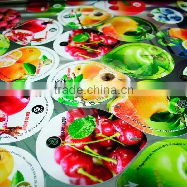 High Efficient Lid Punching and Embossing Machine for Yogurt Cup Lids. photo-6