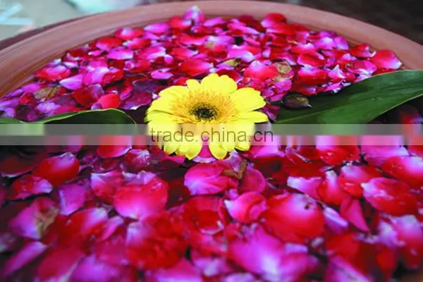 Super Chinese Dried Herbs Fresh Dry Flower Tea Refresh and Women Beauty Bath Tea Dried Rose Petals Flower Tea photo-3