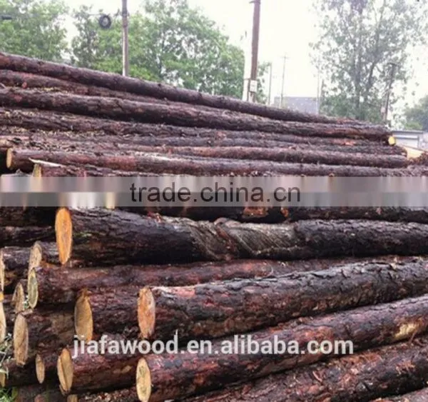 White Birch Logs