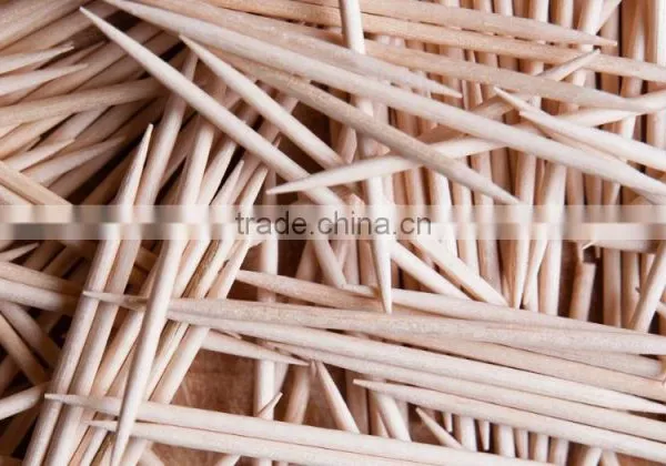 Tooth Cleaner / Tooth Picks