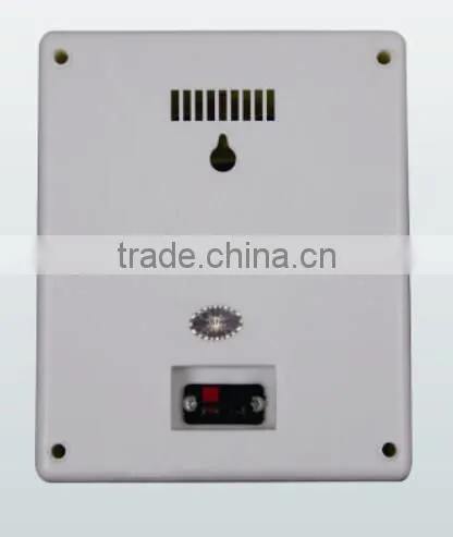 WS-621 Wall Hanging Speaker, pa Speaker Box photo-3