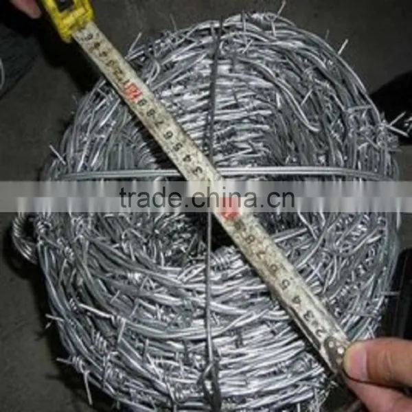 Factory Price Good Quality Galvanized Barbed Wire photo-3