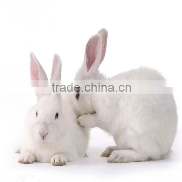 Rabbit Processing Slaughtering Equipment Farm Machinery Rabbit Meat Processing