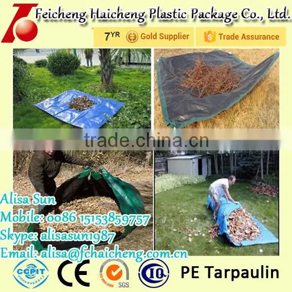 PE Birthday Tarpaulin Design For Covering, PE Tarpaulin Manufactory In Shandong China photo-3