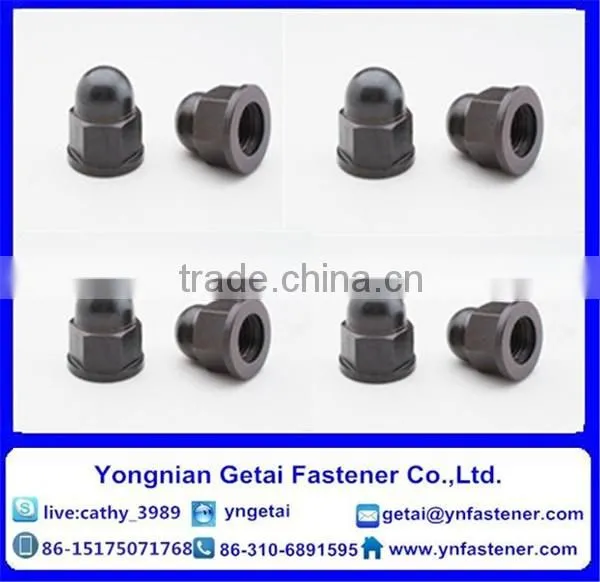 DIN 1587 Hexagon Cap Nuts M3-M24 Galvanized photo-2