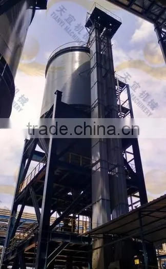 China Heavy Duty Stainless Steel Bucket Elevator Design for Granular photo-3