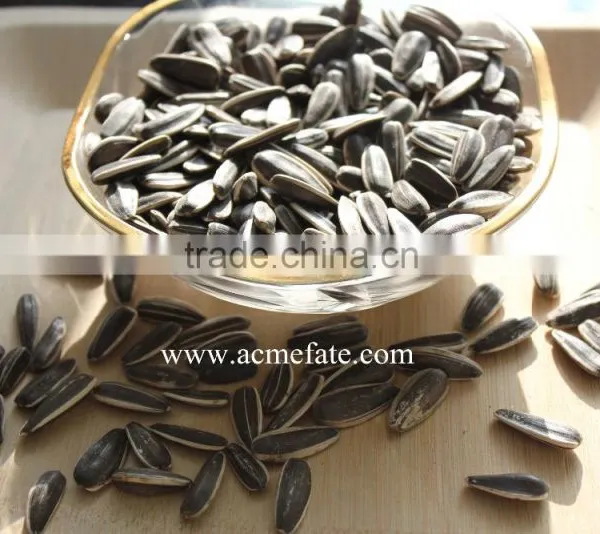 Top Quantity Chinese Sunflower Oil Seeds in Shell 5009 With Market Price photo-5