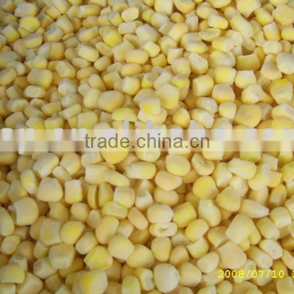Sweet Corn