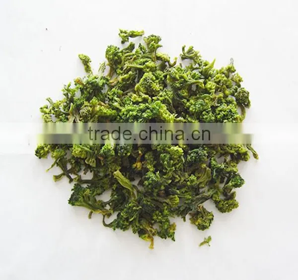 Wholesales Clean Fresh Broccoli Price photo-2