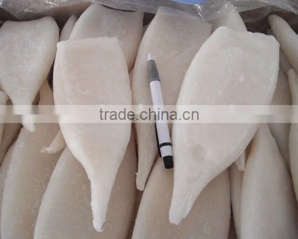 Squid Tube Seafood