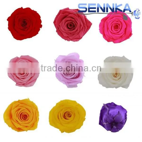Preserved Fresh Flower Gift, Eternal Rose With Beautiful Box for Friends photo-6