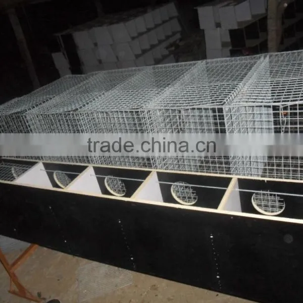 Galvanized Mink Wire Mesh Breeding Cage Low Price Mink Cage for Sale photo-4