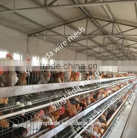 Reptile Cages photo-6