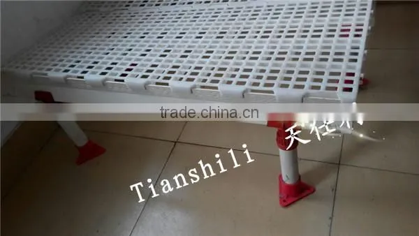 Plastic Poultry Slat Floor for Chicken/duck/goose Frams photo-3