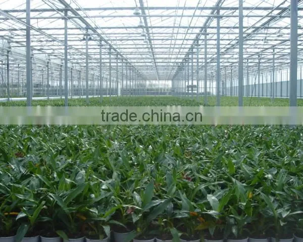 Industrial Greenhouse photo-2