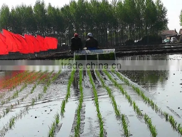 Top Quality High Efficiency 6rows Paddy Rice Planter photo-5