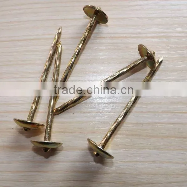 Electro Galvanized 2.5 Inch Screw Shank Twisted Roofing Nail photo-4