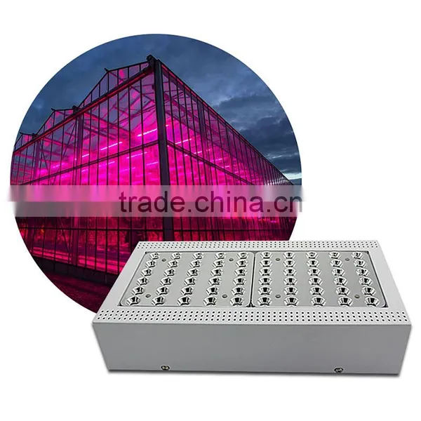 Advanced Platinum Series Led Grow Light 3 Years Warranty 100pcs 3w Chip Veg Bloom Switch uv and ir Full Spectrum photo-4