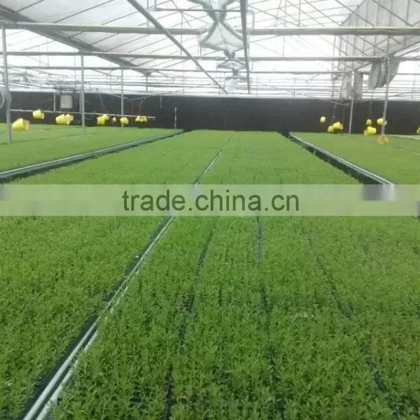 32-512 Cell PS Plastic Seed Starting Tray photo-4