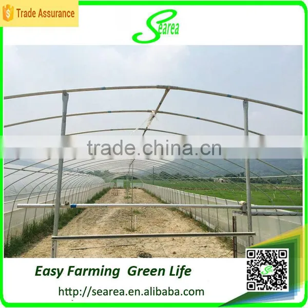 Searea Commercial Single-span Greenhouse photo-3