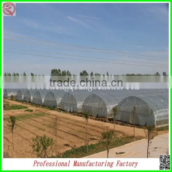 Plastic Film Agricultural Green House for Strawberry With Arched Type photo-3