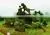 CHY1010808 Hot Sale Outdoor Garden Sculpture Animal Sculpture photo-3