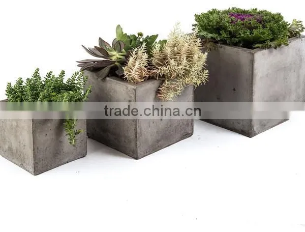 Vegetable Wooden Garden Plant Tray photo-4