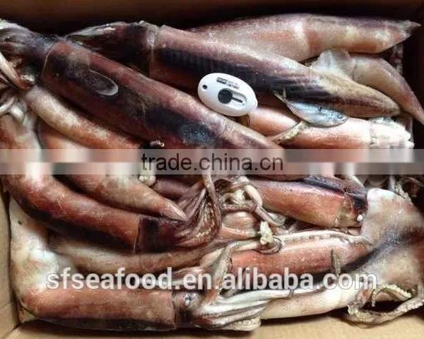 Trawlers for Sale of Japanese Squid photo-2