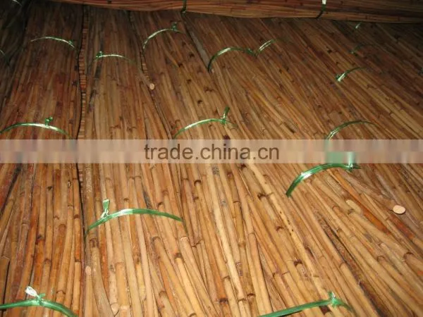 Red Water Rattan Cane photo-4