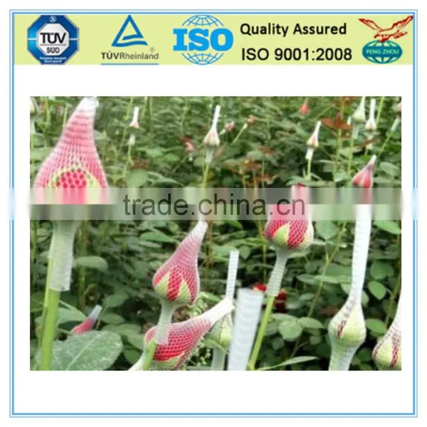 PE Flower Bud Netting photo-2