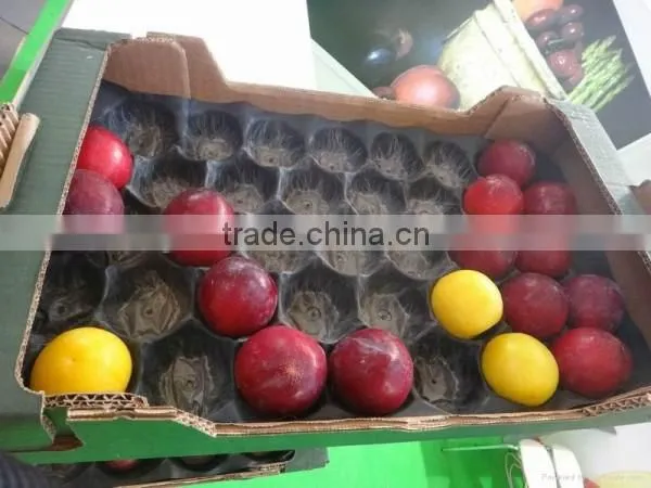 Laizhou Pengzhou Blister Packaging 29x49cm Alveolus PP Tray For Fresh Fruits photo-5